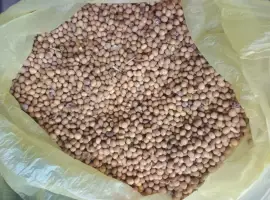 Зображення для оголошення Куплю некондиційну сою