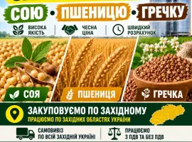 Зображення для оголошення Куплю сою