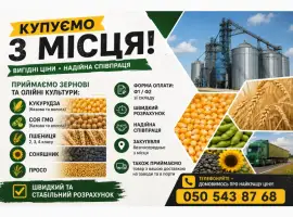 Зображення для оголошення Закупівля зернових та олійних культур