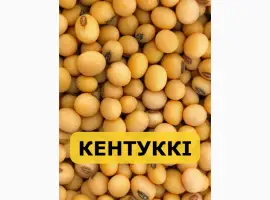 Зображення для оголошення Насіння сої Кентуккі