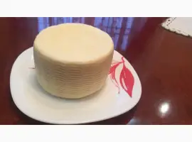 Продам моцарелла