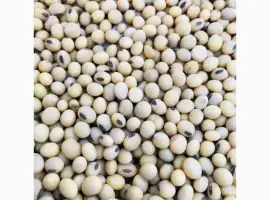 Зображення для оголошення Продам сою ГМО