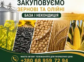 Зображення для оголошення Закупівля зернових та олійних культур (база та некондиція)