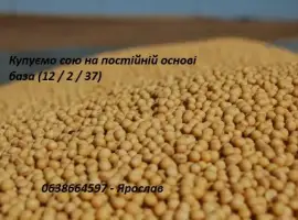 Зображення для оголошення КУПУЄМО СОЮ на постійній основі (база)