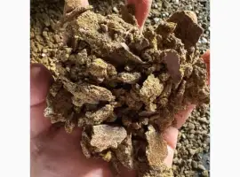 Зображення для оголошення Макуха ріпака