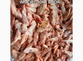 Кінчик крила курячий