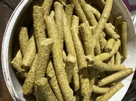Зображення для оголошення Макуха гарбузова