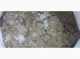 Зображення для оголошення Макуха гарбузова