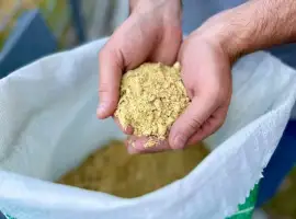Зображення для оголошення Продам макуху соєву (жмих)