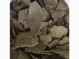 Зображення для оголошення Жмых рапсовый макуха ріпакова