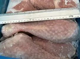 Зображення для оголошення Гомілка індика