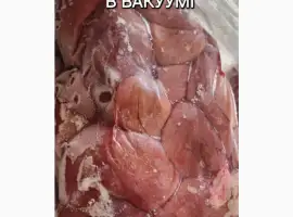 Нирки свинини