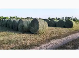 Зображення для оголошення Продам суху солому в циліндричних тюках 150-260 кг