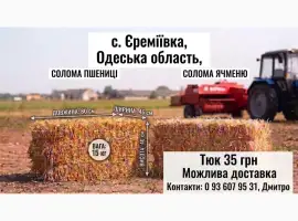 Зображення для оголошення Солома в тюках (пшенична