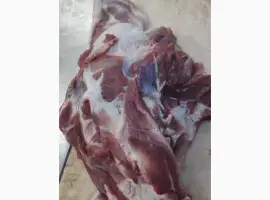 Зображення для оголошення Напівтуша свина