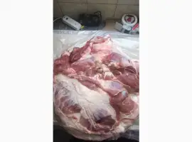 Зображення для оголошення Продаємо лопатку свину