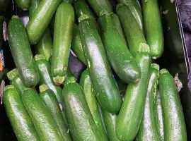 Зображення для оголошення Продам кабачок свіжий оптом Вінницька обл сезонні партії від господарства