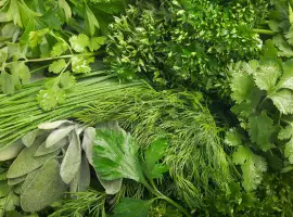 Зображення для оголошення Продам зелень(укроп