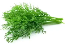 Зображення для оголошення Куплю кріп