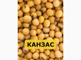 Зображення для оголошення Насіння сої Канзас