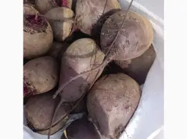 Зображення для оголошення Продам буряк
