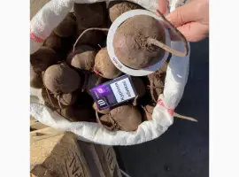 Зображення для оголошення Продам буряк