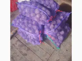 Зображення для оголошення Продам солодкий буряк