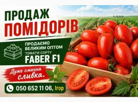 Зображення для оголошення Помідори сливка Faber F1