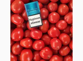 Зображення для оголошення Продаємо помідор польовий