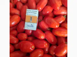 Зображення для оголошення Продам помидори
