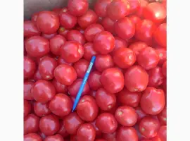 Зображення для оголошення Продам номерную сливку