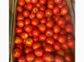 Зображення для оголошення Продам томати. Асвон. Гарна якість