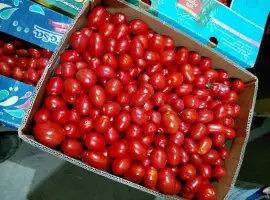 Зображення для оголошення Продам помідори