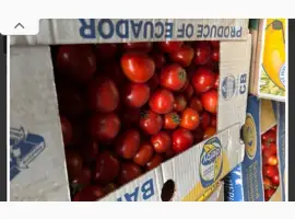 Зображення для оголошення Продам помідору Асвон терміново з поля до 9т