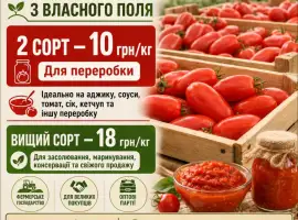 Зображення для оголошення ОПТ. Томат Брісколіно для переробки - від 10 грн/кг