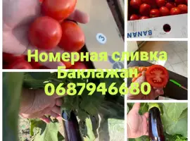 Зображення для оголошення Продам номерную сливка класса люкс