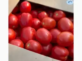 Зображення для оголошення Пролам номерную сливку