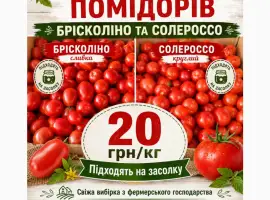 Зображення для оголошення Опт. свіжі помідори брісколіно та солероссо - партія 1–1