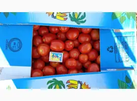 Зображення для оголошення Продам помідор сливка Гонг та Фабер