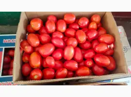 Зображення для оголошення Продам помідор сливка свіжа