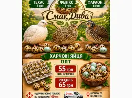Зображення для оголошення Продам домашні харчові перепилині яйця