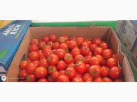 Зображення для оголошення Продам полевой томат типу Асвон