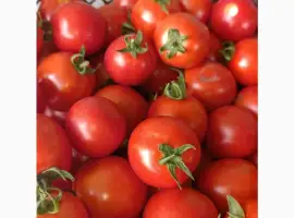 Зображення для оголошення Продам помідор