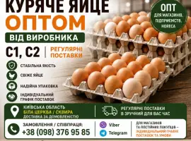 Зображення для оголошення КУРЯЧЕ ЯЙЦЕ ОПТОМ ВІД ВИРОБНИКА С1