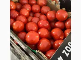 Зображення для оголошення Помідор куплю