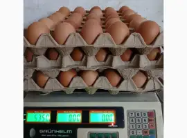 Зображення для оголошення Куриные яйца столовые