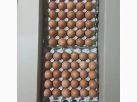 Зображення для оголошення Яйця курячі столові