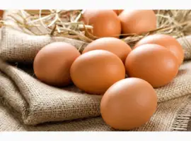 Зображення для оголошення Продам яйця курячі оптом