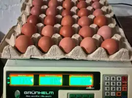 Зображення для оголошення Продам яйця столові категорії S