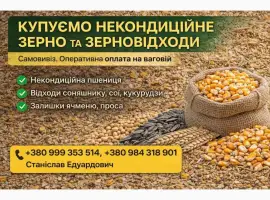 Зображення для оголошення Купуємо некондицію та зерновідходи на постійній основі